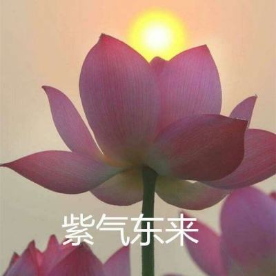 代替女友vr手游下载